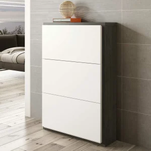 80x120x27 Schuhschrank In Weiß & Schwarzgrau – Burano 10