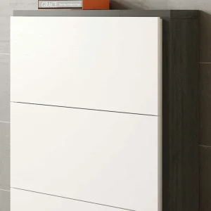 80x120x27 Schuhschrank In Weiß & Schwarzgrau – Burano 14